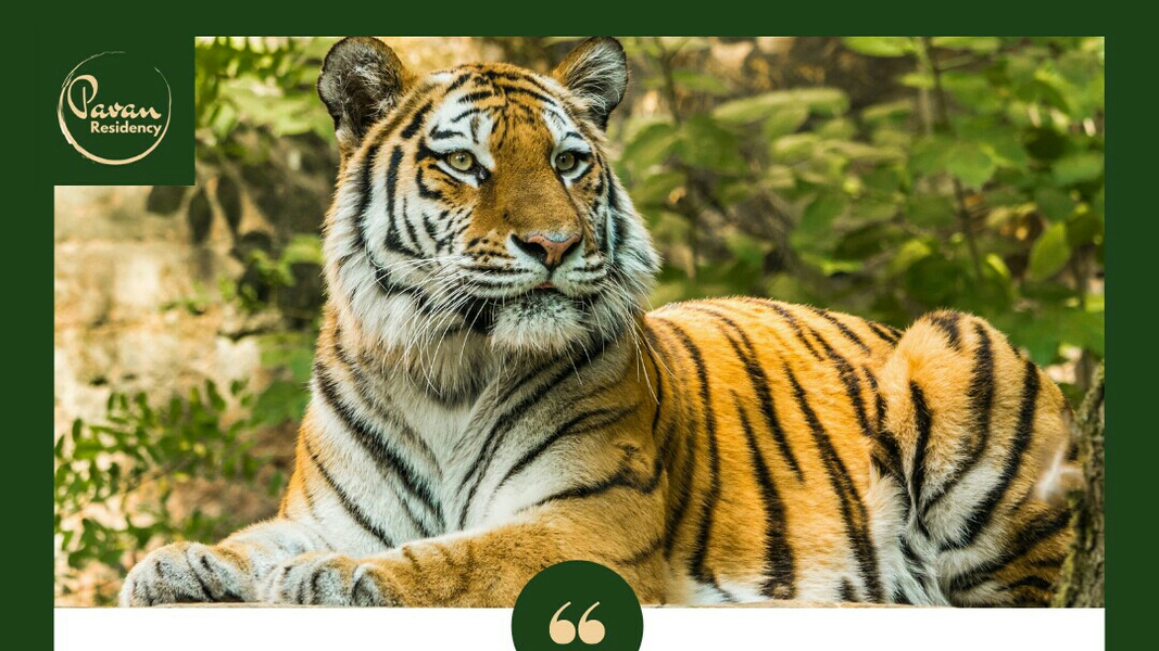 Cover photo of Pavan Residency - Hotel In Pilibhit